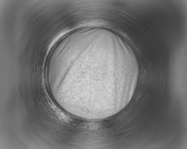 X0000085731086200703301355