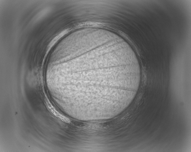 X0000085731090200703301355