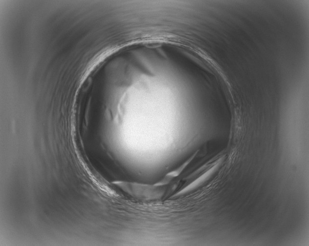 X0000085731093200703301355