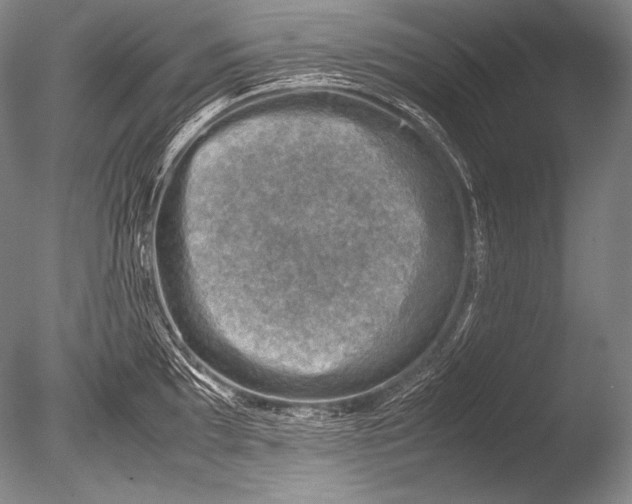 X0000085731097200703301355