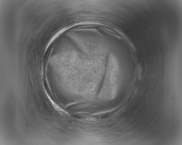 X0000085731101200703301355