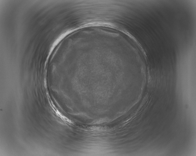 X0000085731102200703301355