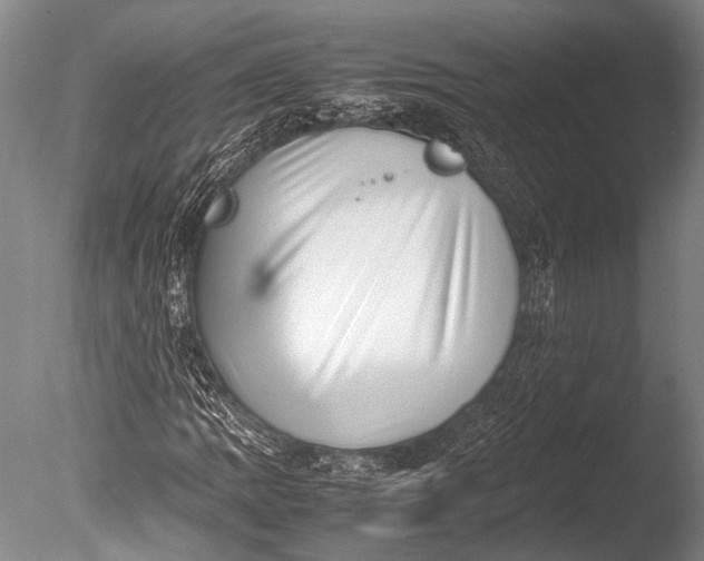 X0000085731109200703301354