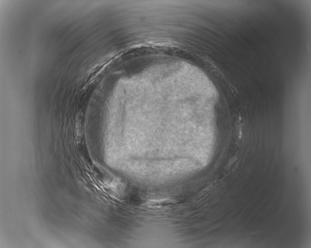 X0000085731110200703301354