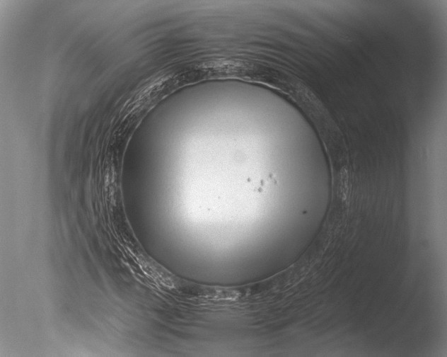 X0000085731111200703301354