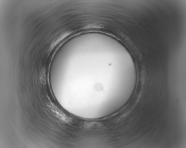 X0000085731113200703301354