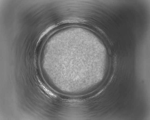 X0000085731114200703301354