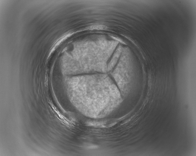 X0000085731115200703301354