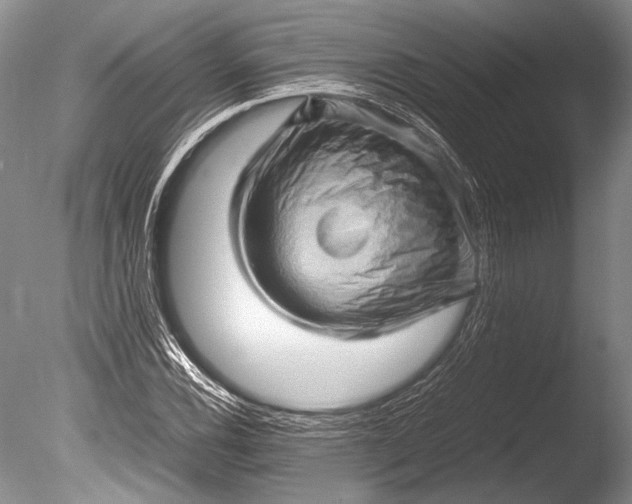 X0000085731116200703301354