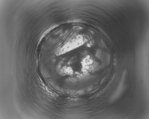 X0000085731117200703301354