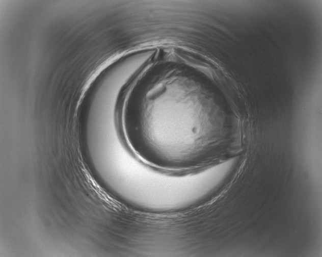 X0000085731118200703301354