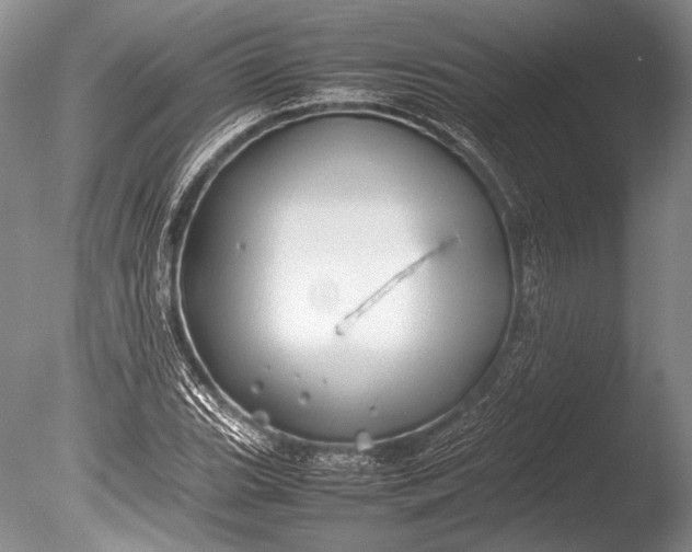 X0000085731119200703301354