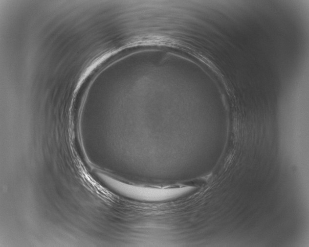 X0000085731120200703301354