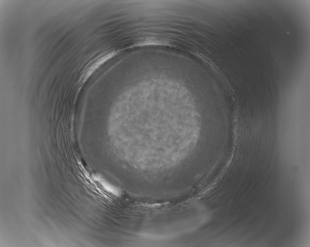 X0000085731121200703301354