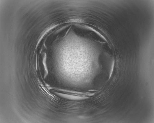 X0000085731123200703301354