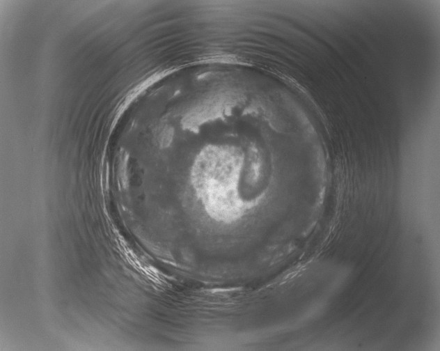 X0000085731125200703301354