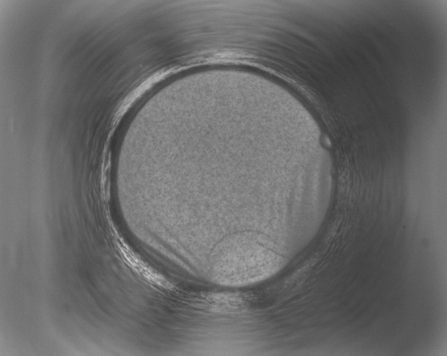 X0000085731126200703301354