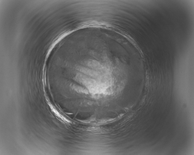 X0000085731128200703301354