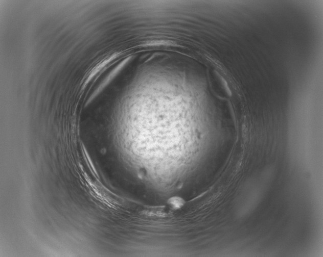 X0000085731129200703301354