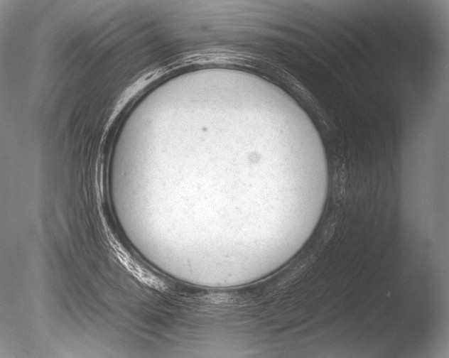 X0000085731130200703301354