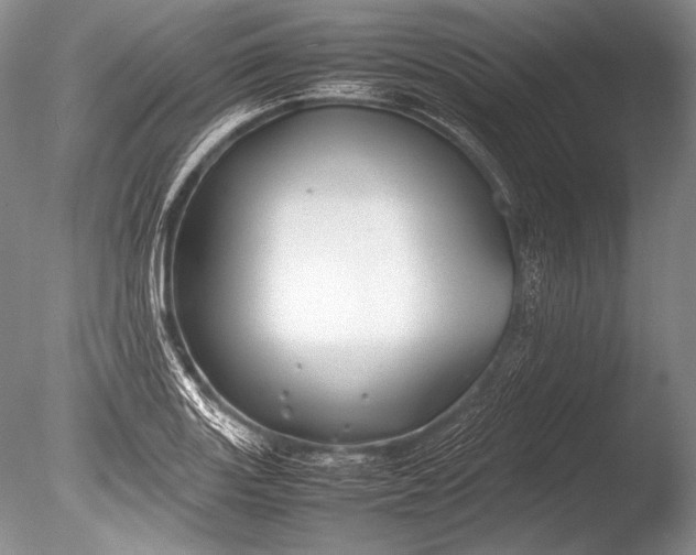 X0000085731131200703301354