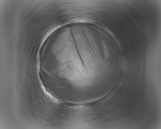 X0000085731132200703301354