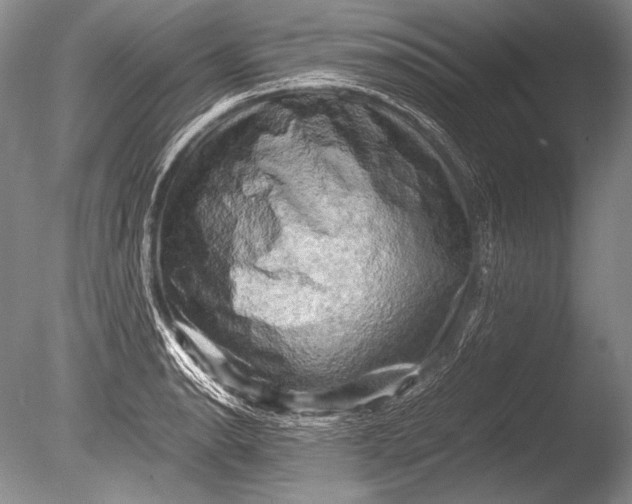 X0000085731134200703301354