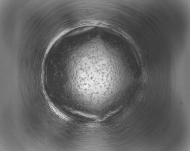 X0000085731136200703301354