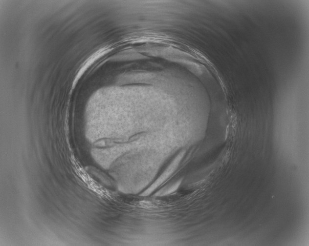 X0000085731138200703301354