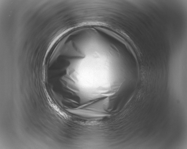 X0000085731140200703301354