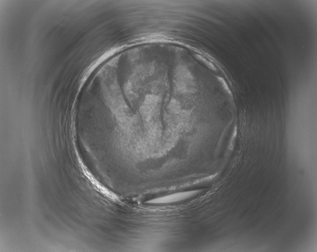 X0000085731142200703301354