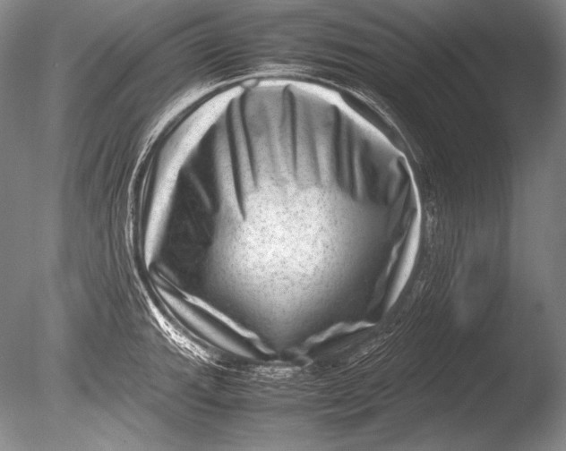 X0000085731143200703301354