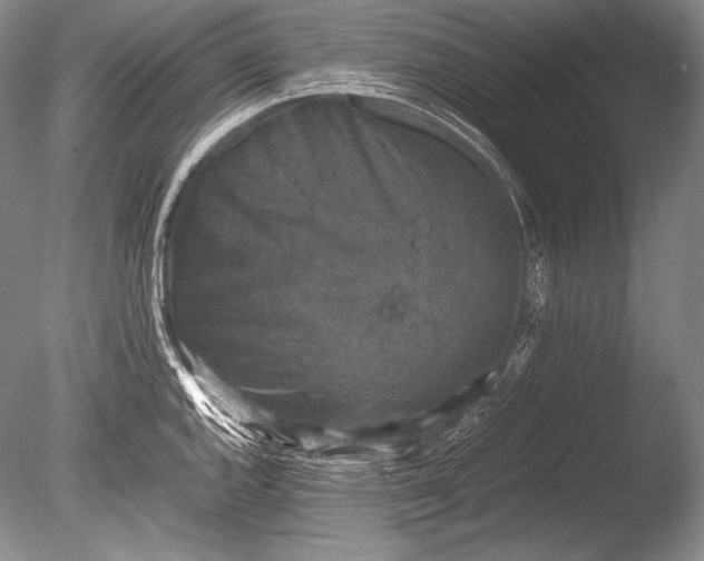 X0000085731144200703301354