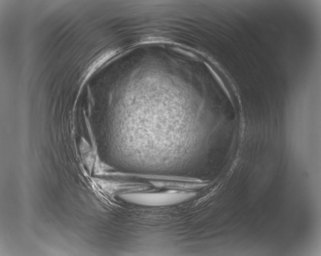 X0000085731145200703301354