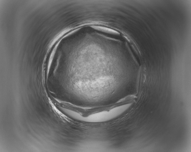 X0000085731151200703301354