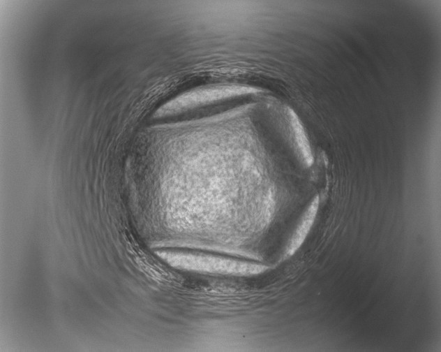 X0000085731153200703301354