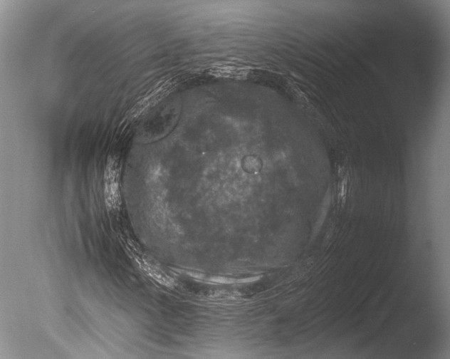 X0000085731154200703301354