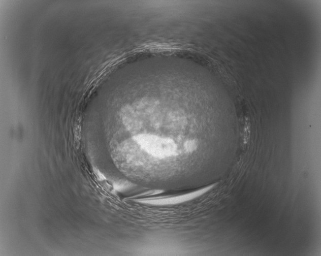 X0000085731157200703301354