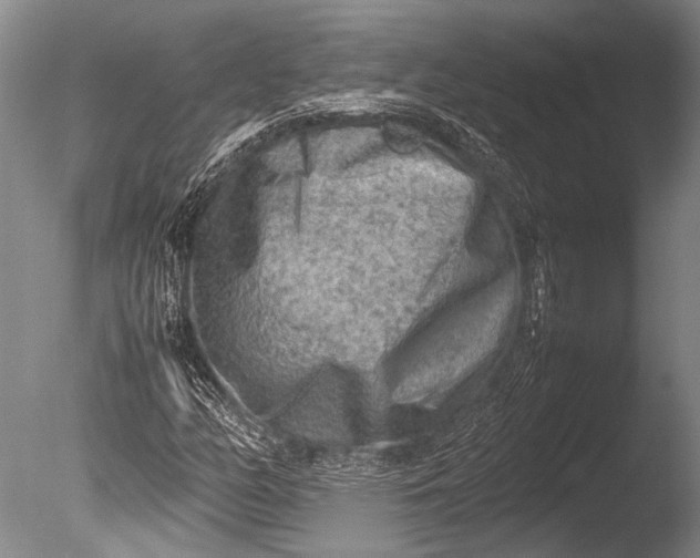 X0000085731158200703301354