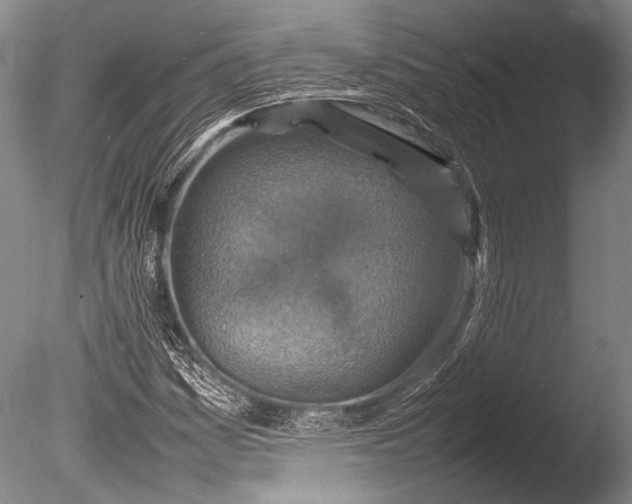 X0000085731161200703301354