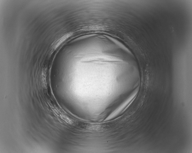 X0000085731162200703301354