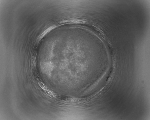 X0000085731163200703301354