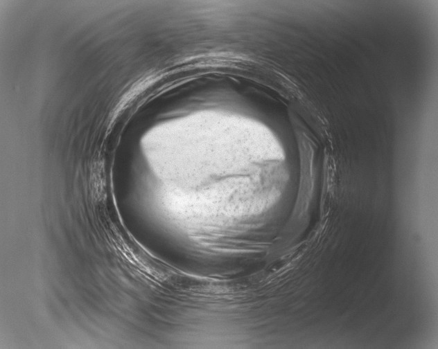 X0000085731164200703301353