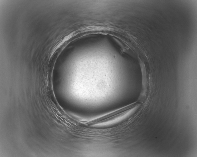 X0000085731165200703301353