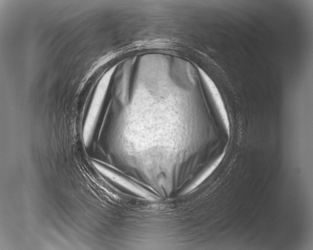 X0000085731166200703301353