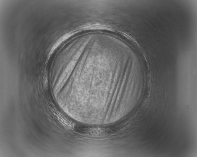 X0000085731167200703301353