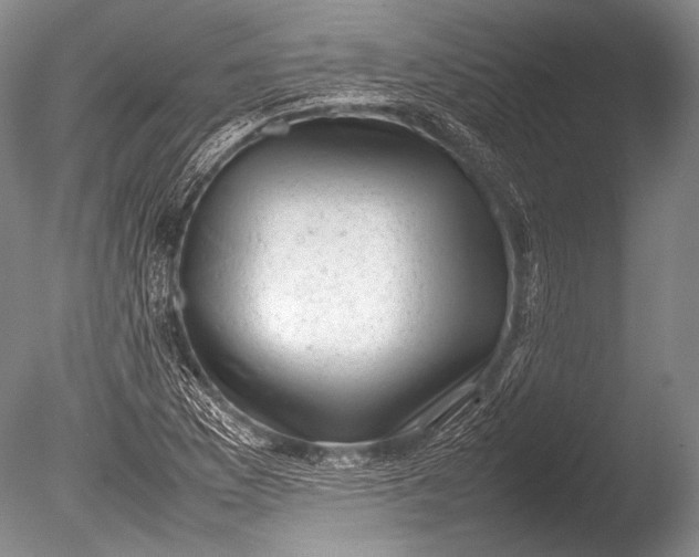 X0000085731169200703301353