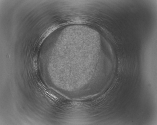 X0000085731170200703301353