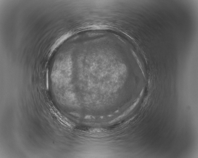 X0000085731171200703301353