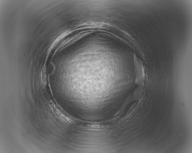 X0000085731172200703301353